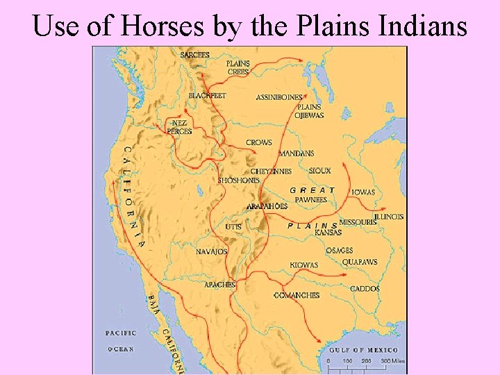 Use of Horses by the Plains Indians 