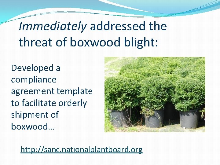 Immediately addressed the threat of boxwood blight: Developed a compliance agreement template to facilitate