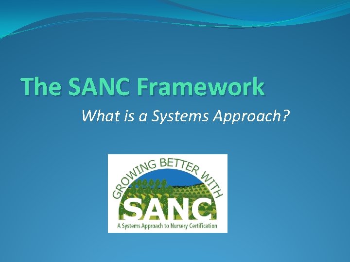 The SANC Framework What is a Systems Approach? 
