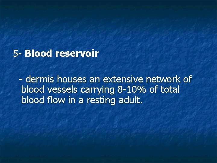 5 - Blood reservoir - dermis houses an extensive network of blood vessels carrying