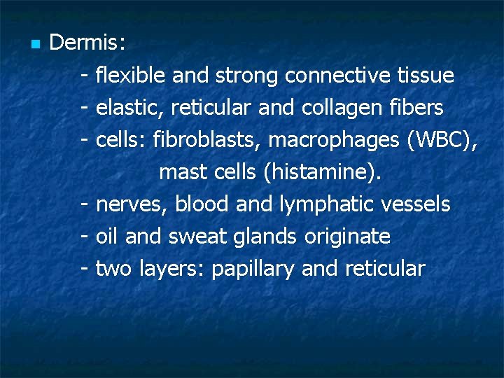 n Dermis: - flexible and strong connective tissue - elastic, reticular and collagen fibers