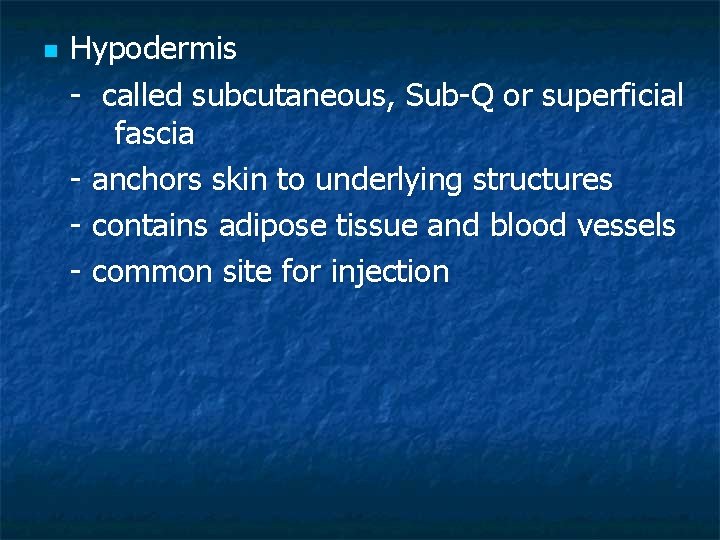 n Hypodermis - called subcutaneous, Sub-Q or superficial fascia - anchors skin to underlying
