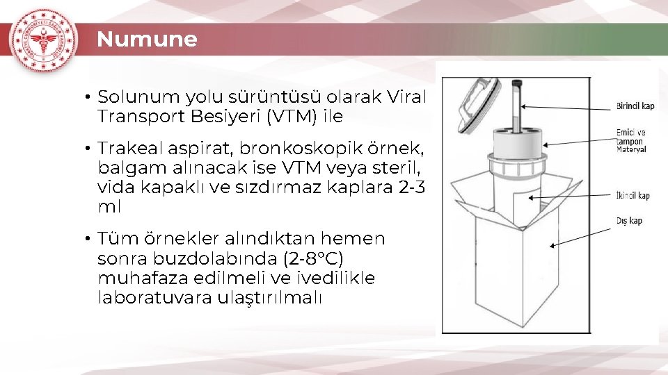 Numune • Solunum yolu sürüntüsü olarak Viral Transport Besiyeri (VTM) ile • Trakeal aspirat,
