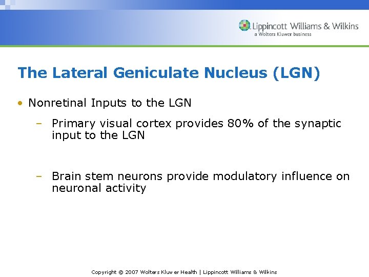 The Lateral Geniculate Nucleus (LGN) • Nonretinal Inputs to the LGN – Primary visual