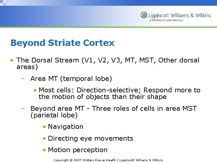 Beyond Striate Cortex • The Dorsal Stream (V 1, V 2, V 3, MT,