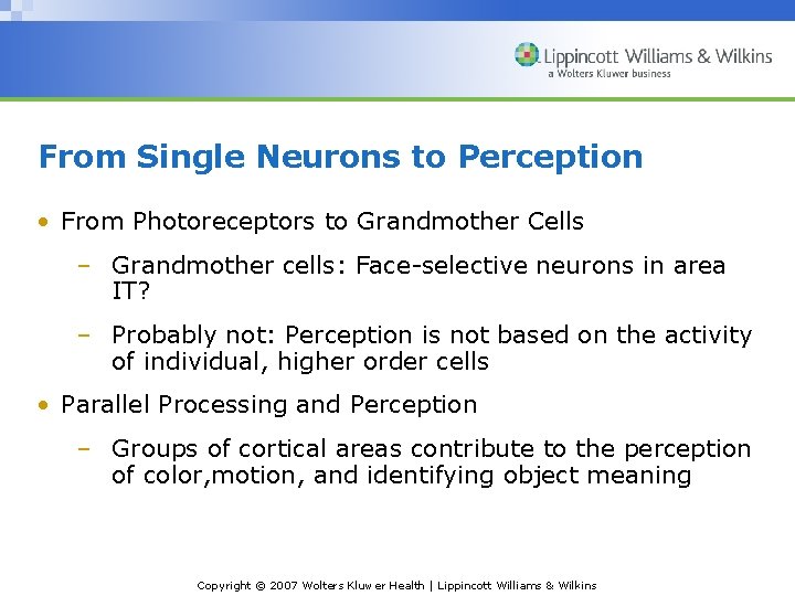 From Single Neurons to Perception • From Photoreceptors to Grandmother Cells – Grandmother cells: