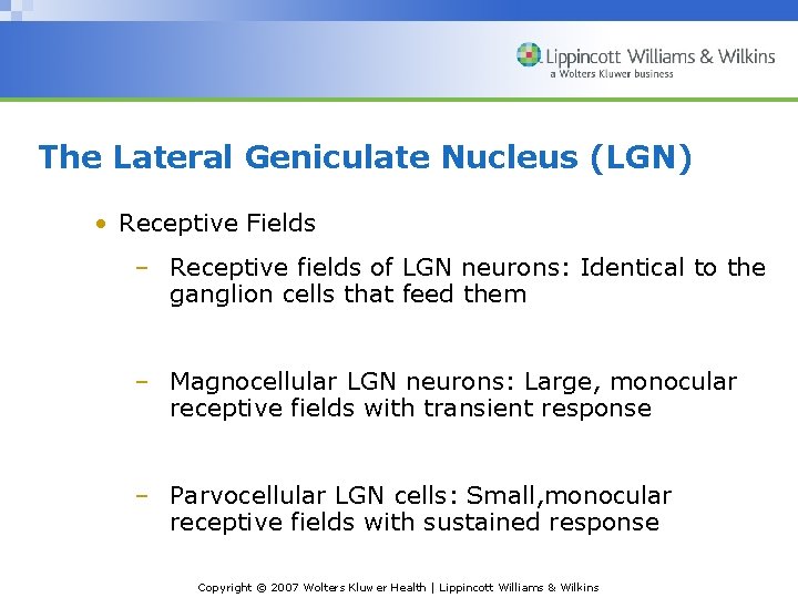 The Lateral Geniculate Nucleus (LGN) • Receptive Fields – Receptive fields of LGN neurons: