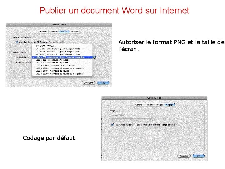 Publier un document Word sur Internet Autoriser le format PNG et la taille de