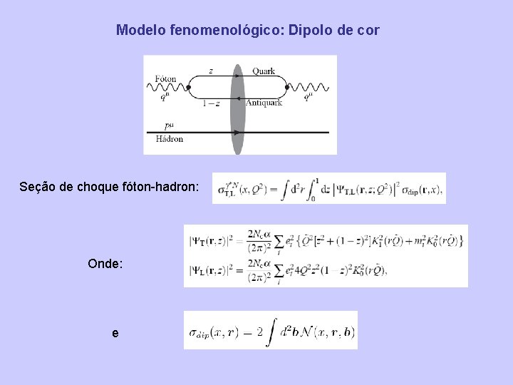 Modelo fenomenológico: Dipolo de cor Seção de choque fóton-hadron: Onde: e 