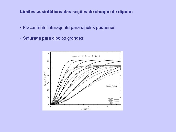 Limites assintóticos das seções de choque de dipolo: • Fracamente interagente para dipolos pequenos