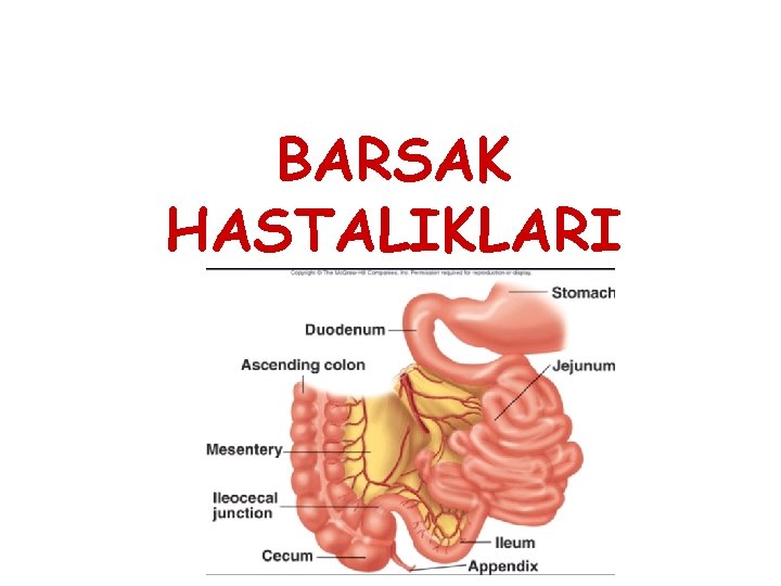 BARSAK HASTALIKLARI 