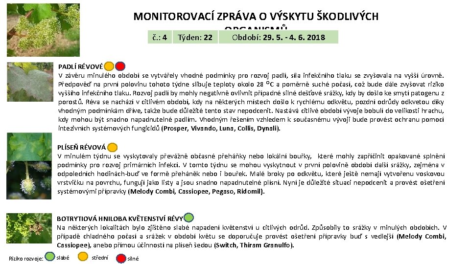 MONITOROVACÍ ZPRÁVA O VÝSKYTU ŠKODLIVÝCH ORGANISMŮ č. : 4 Týden: 22 Období: 29. 5.