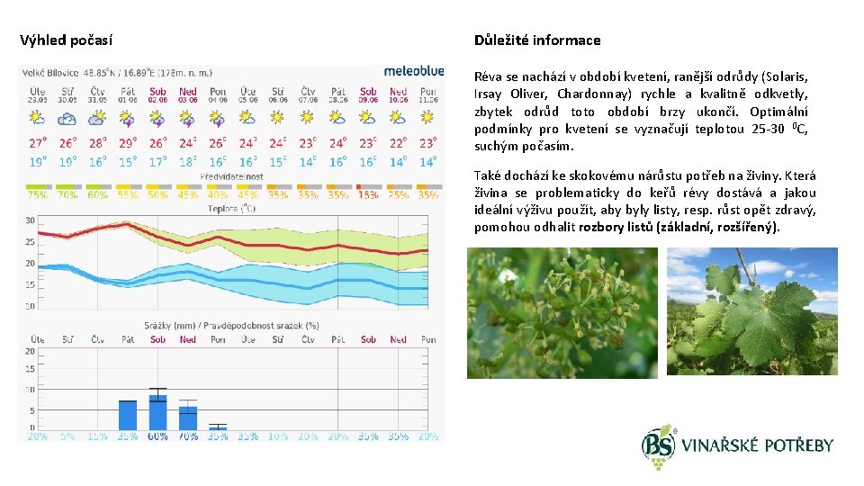 Výhled počasí Důležité informace Réva se nachází v období kvetení, ranější odrůdy (Solaris, Irsay