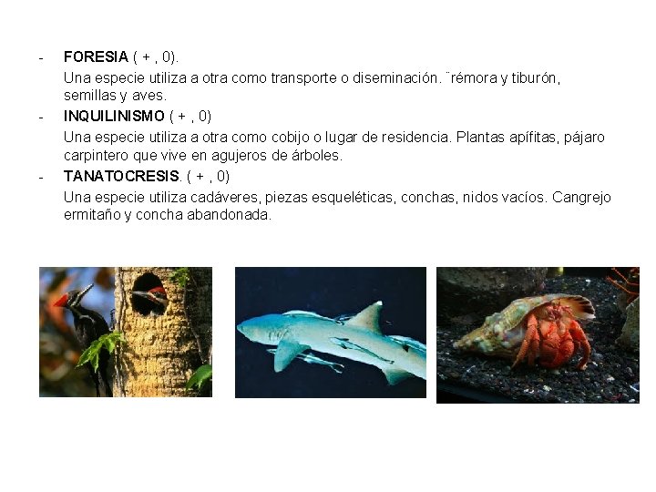 - - - FORESIA ( + , 0). Una especie utiliza a otra como