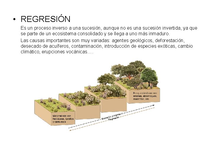  • REGRESIÓN Es un proceso inverso a una sucesión, aunque no es una