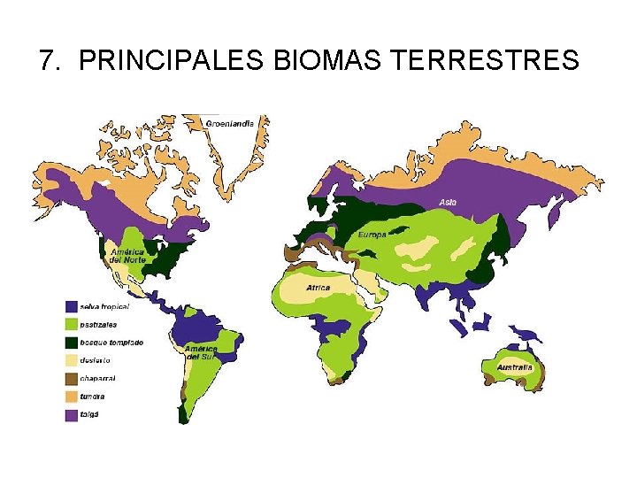 7. PRINCIPALES BIOMAS TERRESTRES 