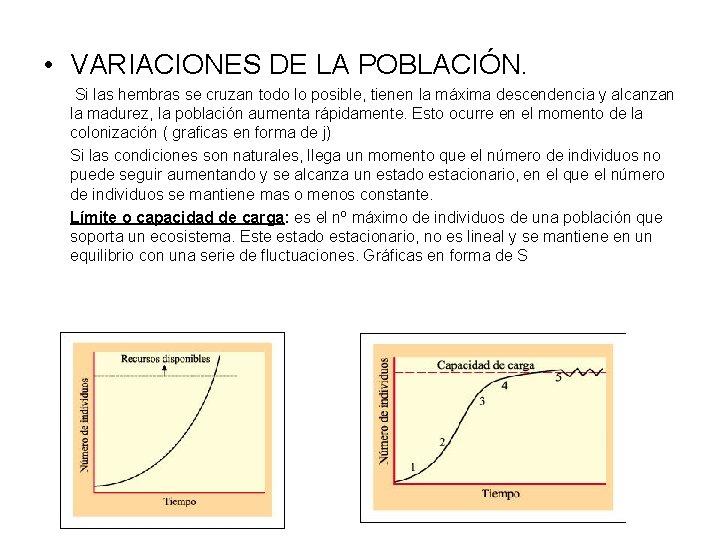  • VARIACIONES DE LA POBLACIÓN. Si las hembras se cruzan todo lo posible,