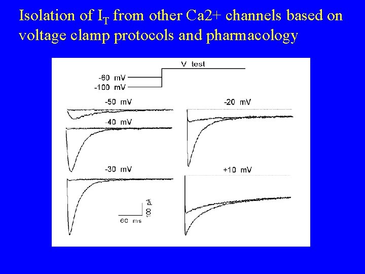 Isolation of IT from other Ca 2+ channels based on voltage clamp protocols and