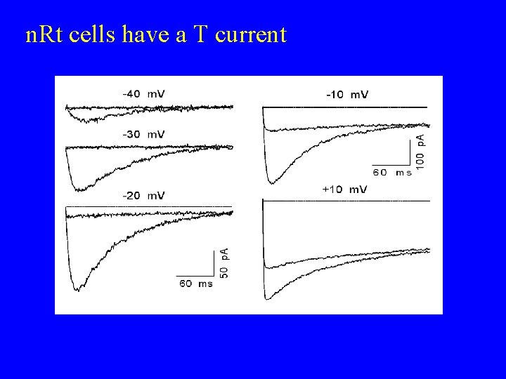 n. Rt cells have a T current 