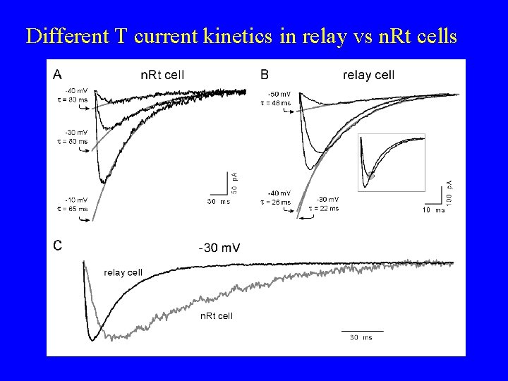 Different T current kinetics in relay vs n. Rt cells 
