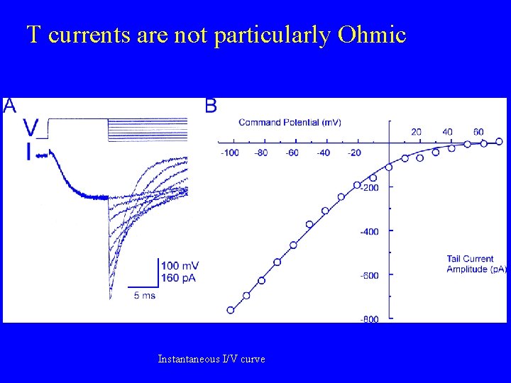 T currents are not particularly Ohmic Instantaneous I/V curve 