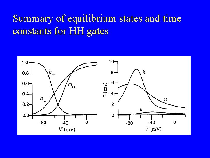 Summary of equilibrium states and time constants for HH gates 