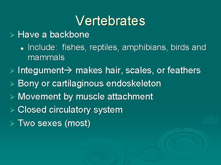 Vertebrates Ø Have a backbone l Include: fishes, reptiles, amphibians, birds and mammals Ø