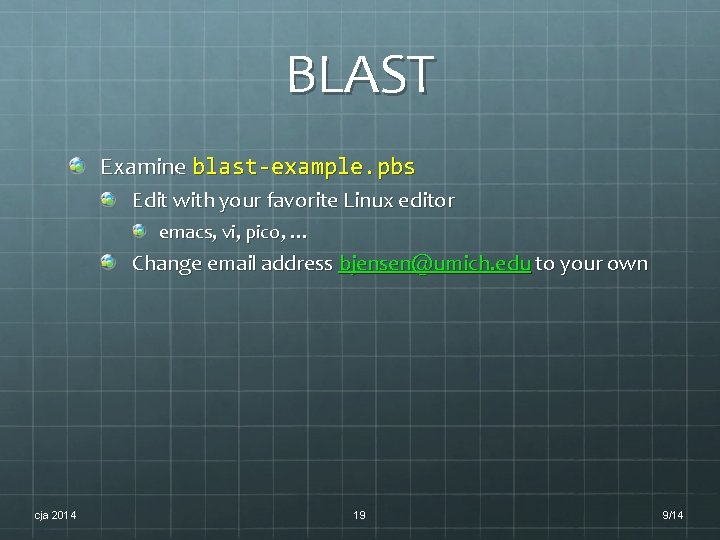 BLAST Examine blast-example. pbs Edit with your favorite Linux editor emacs, vi, pico, … BLAST Examine blast-example. pbs Edit with your favorite Linux editor emacs, vi, pico, …