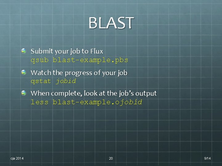 BLAST Submit your job to Flux qsub blast-example. pbs Watch the progress of your BLAST Submit your job to Flux qsub blast-example. pbs Watch the progress of your