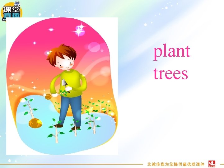 plant trees 