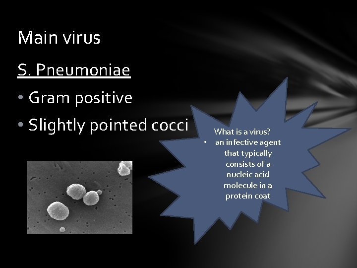 Main virus S. Pneumoniae • Gram positive • Slightly pointed cocci What is a