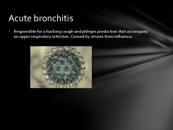 Acute bronchitis • Responsible for a hacking cough and phlegm production that accompany an