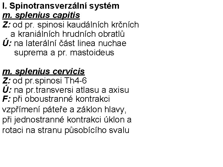 I. Spinotransverzální systém m. splenius capitis Z: od pr. spinosi kaudálních krčních a kraniálních