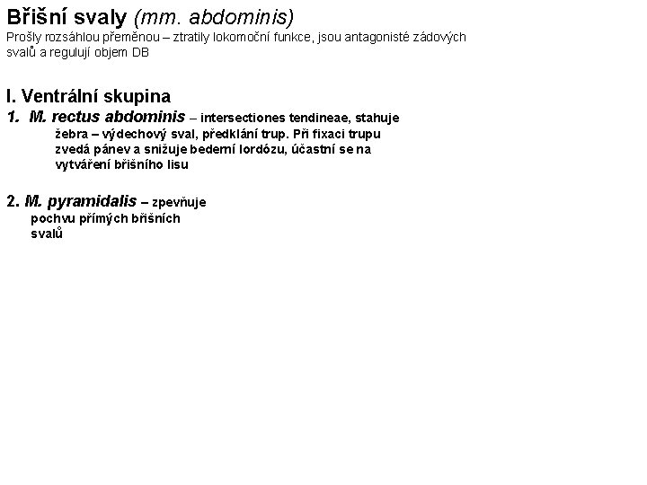 Břišní svaly (mm. abdominis) Prošly rozsáhlou přeměnou – ztratily lokomoční funkce, jsou antagonisté zádových