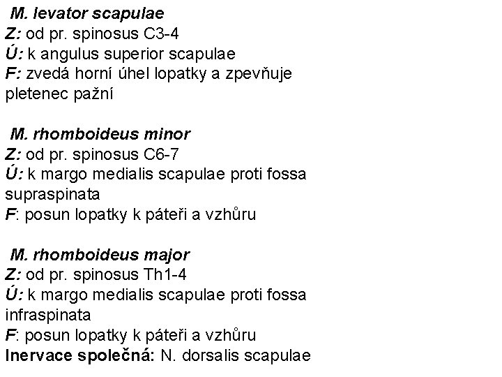 M. levator scapulae Z: od pr. spinosus C 3 -4 Ú: k angulus superior