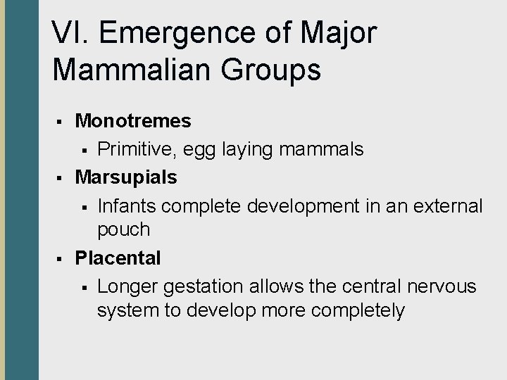 VI. Emergence of Major Mammalian Groups § § § Monotremes § Primitive, egg laying