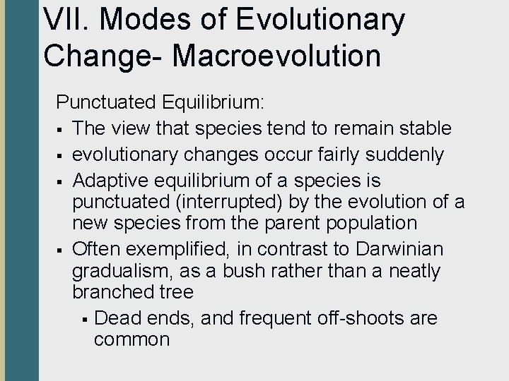 VII. Modes of Evolutionary Change- Macroevolution Punctuated Equilibrium: § The view that species tend