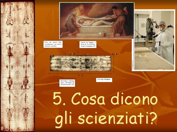 5. Cosa dicono gli scienziati? 