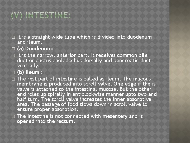 � � � It is a straight wide tube which is divided into duodenum