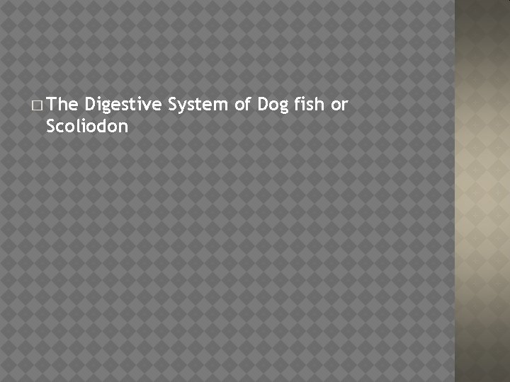 � The Digestive System of Dog fish or Scoliodon 