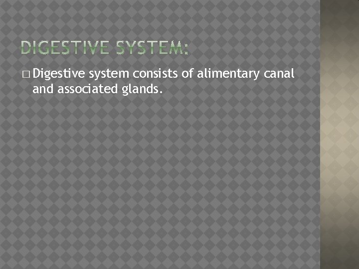 � Digestive system consists of alimentary canal and associated glands. 