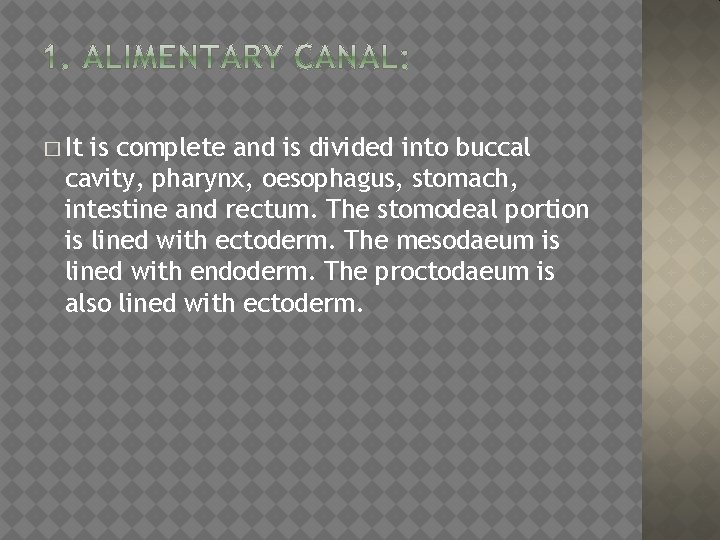 � It is complete and is divided into buccal cavity, pharynx, oesophagus, stomach, intestine