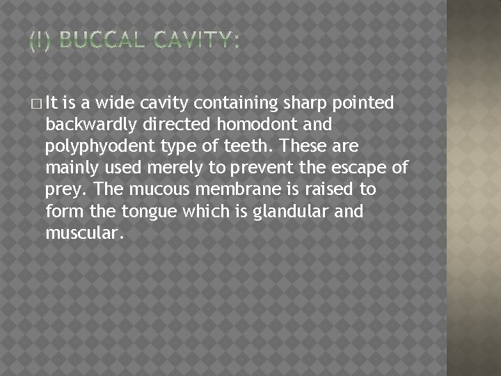 � It is a wide cavity containing sharp pointed backwardly directed homodont and polyphyodent