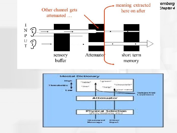 Cognitive Psychology, Fifth Edition, Robert J. Sternberg Chapter 4 