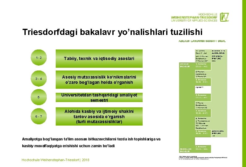 Triesdorfdagi bakalavr yo’nalishlari tuzilishi 1 - 2 Tabiiy, texnik va iqtisodiy asoslari 3 -4