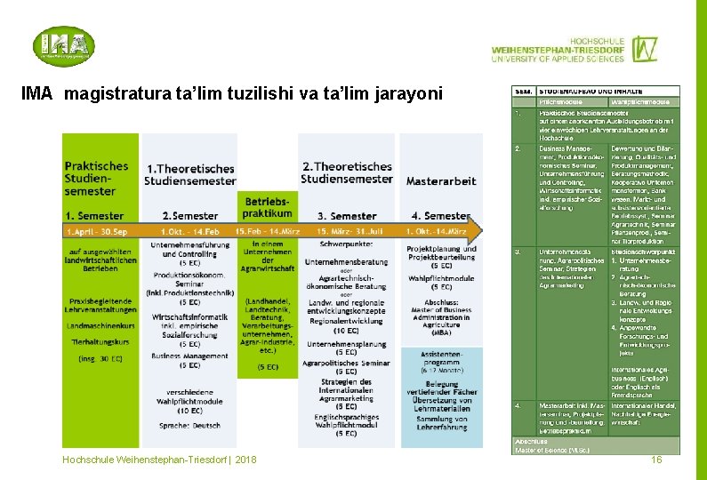 IMA magistratura ta’lim tuzilishi va ta’lim jarayoni Mitglied im Hochschule Weihenstephan-Triesdorf | 2018 16