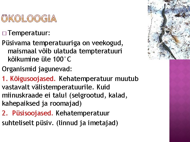 � Temperatuur: Püsivama temperatuuriga on veekogud, maismaal võib ulatuda tempteratuuri kõikumine üle 100°C Organismid