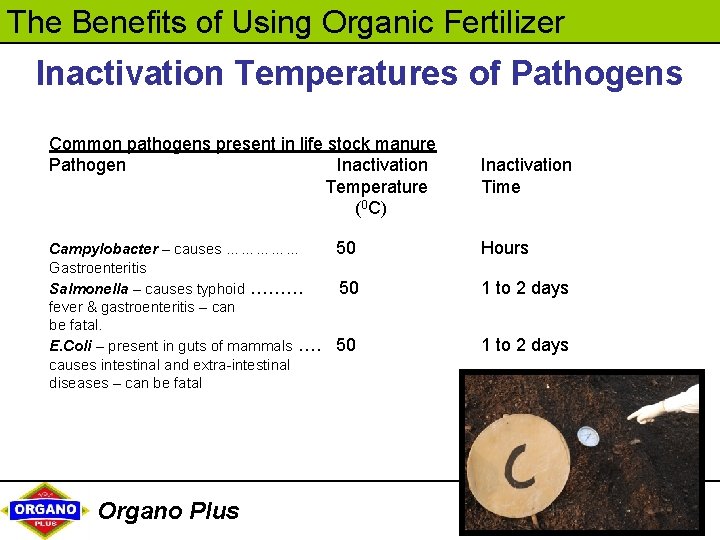 The Benefits of Using Organic Fertilizer Inactivation Temperatures of Pathogens Common pathogens present in