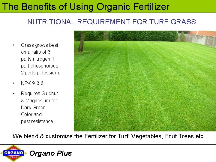 The Benefits of Using Organic Fertilizer NUTRITIONAL REQUIREMENT FOR TURF GRASS • Grass grows