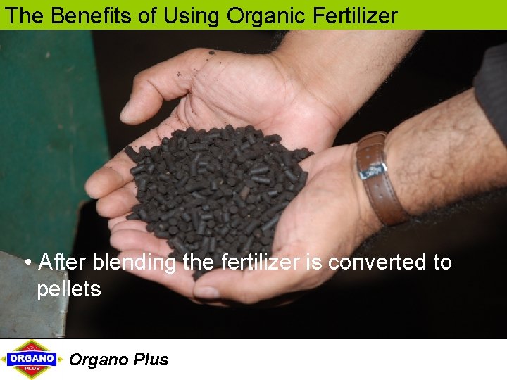 The Benefits of Using Organic Fertilizer • After blending the fertilizer is converted to